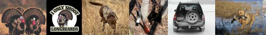 wild turkey feeder plans